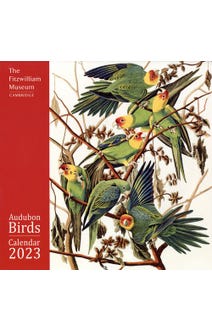 Fitzwilliam Museum: Audubon Birds